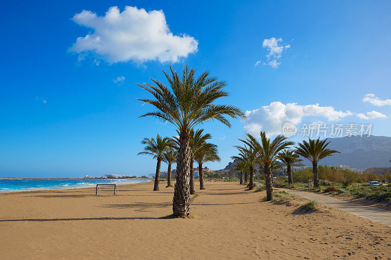 Denia海滩Las Marinas与棕榈树阿利坎特